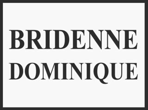 Logo de l'entreprise Établissements Bridenne